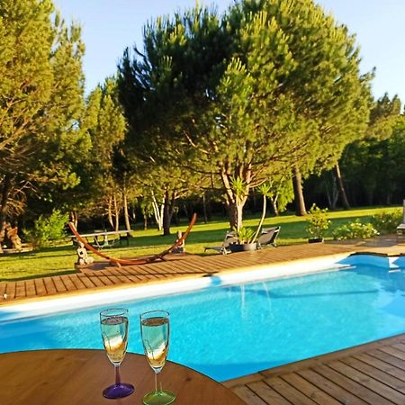Saint-Ciers-d'Abzac Les Pins Perdus Bed & Breakfast エクステリア 写真
