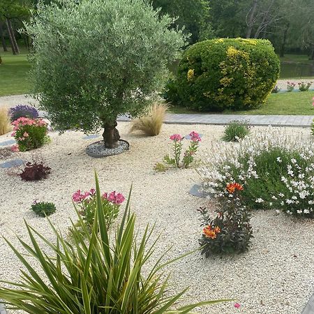 Saint-Ciers-d'Abzac Les Pins Perdus Bed & Breakfast エクステリア 写真