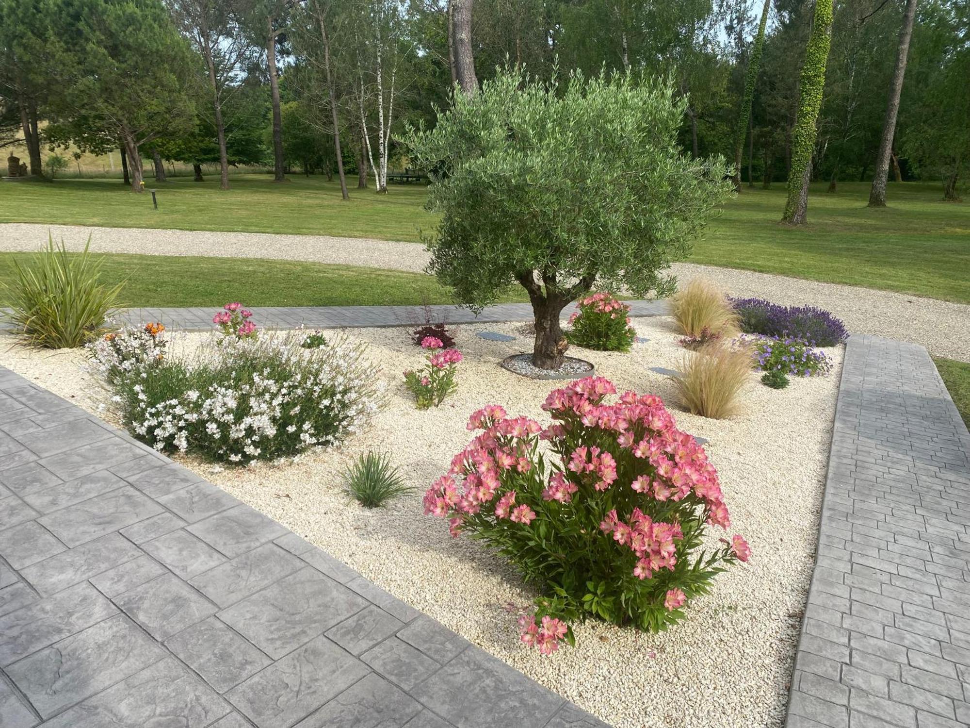 Saint-Ciers-d'Abzac Les Pins Perdus Bed & Breakfast エクステリア 写真