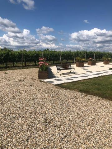 Saint-Ciers-d'Abzac Les Pins Perdus Bed & Breakfast エクステリア 写真
