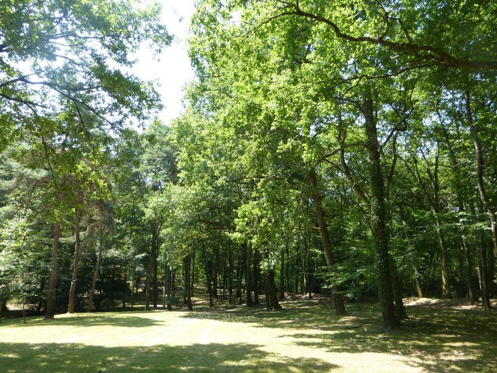 Saint-Ciers-d'Abzac Les Pins Perdus Bed & Breakfast エクステリア 写真