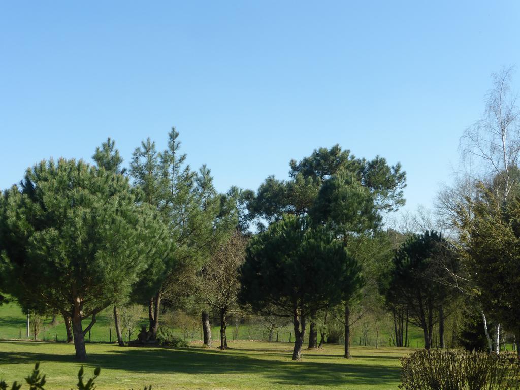 Saint-Ciers-d'Abzac Les Pins Perdus Bed & Breakfast エクステリア 写真