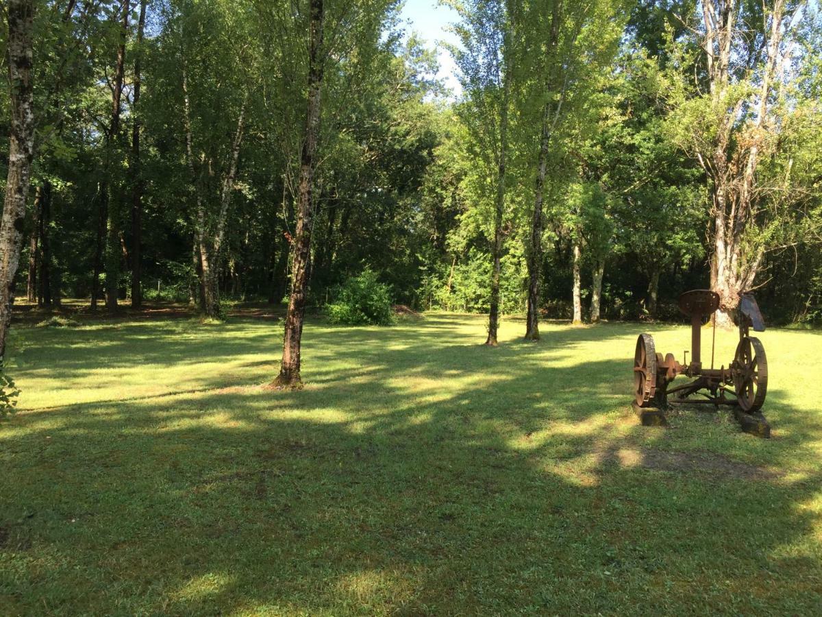 Saint-Ciers-d'Abzac Les Pins Perdus Bed & Breakfast エクステリア 写真